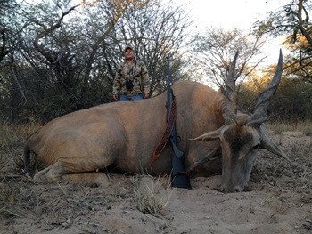 Eland Hunting South Africa