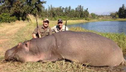 Hippo Hunt Africa Hunt Lodge