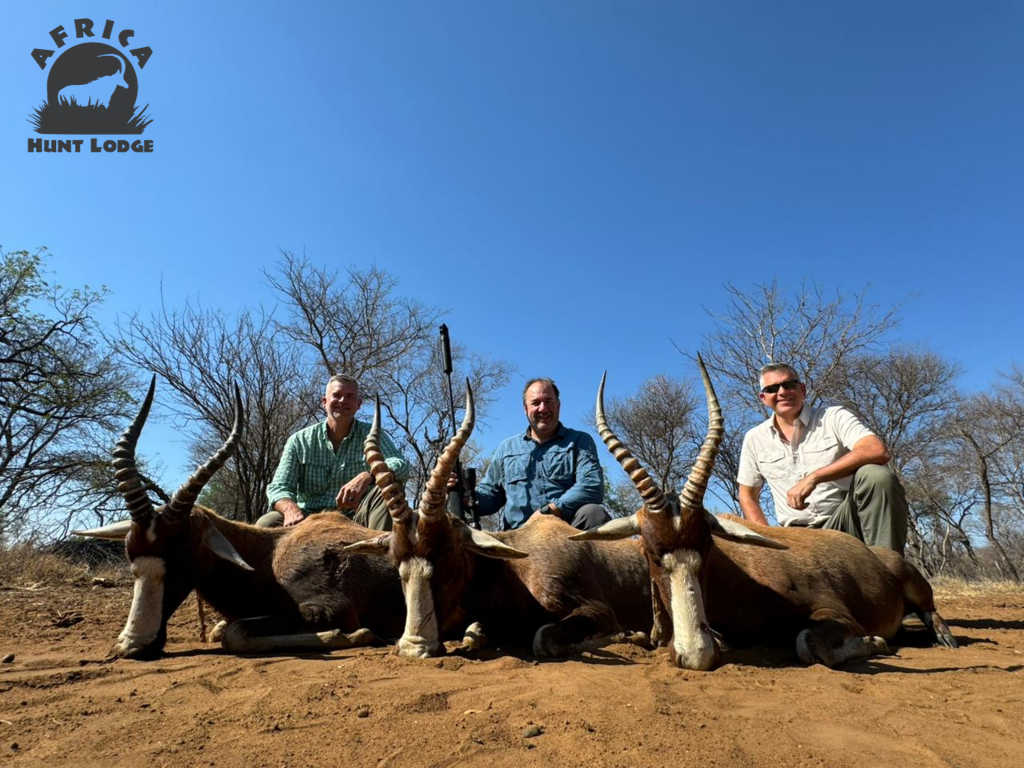 Blesbok Hunting South Africa