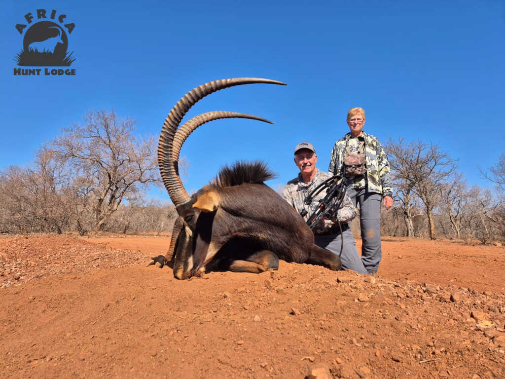 Sable Hunting Archery Africa