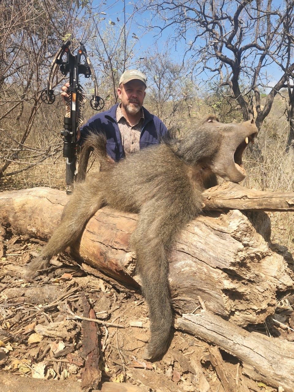 Baboon Hunting | Africa Hunt Lodge | South Africa Hunts