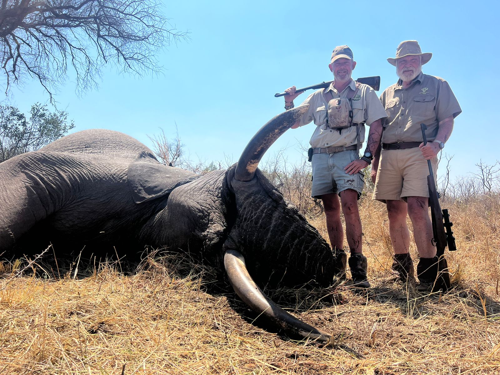 Elephant Hunting | Africa Hunt Lodge | South Africa Hunts