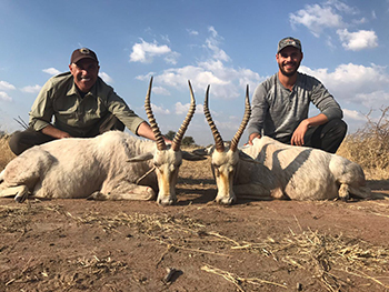 white_blesbok_sean_marcus.jpg