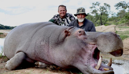 Hippo Hunt Africa Hunt Lodge