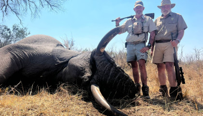 Elephant Hunt - Africa Hunt Lodge